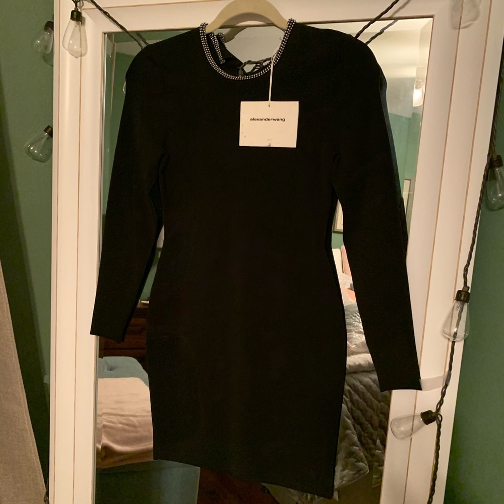 Alexanderwang  dress